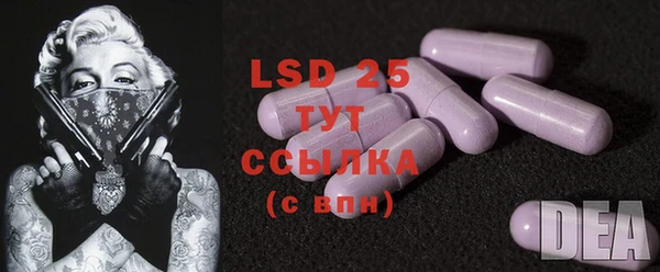 PSILOCYBIN Арсеньев