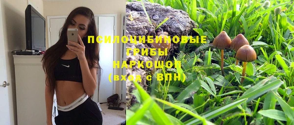 дживик Армянск