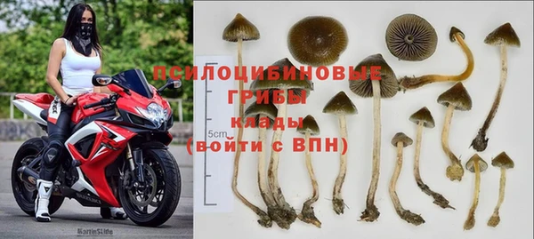 PSILOCYBIN Арсеньев